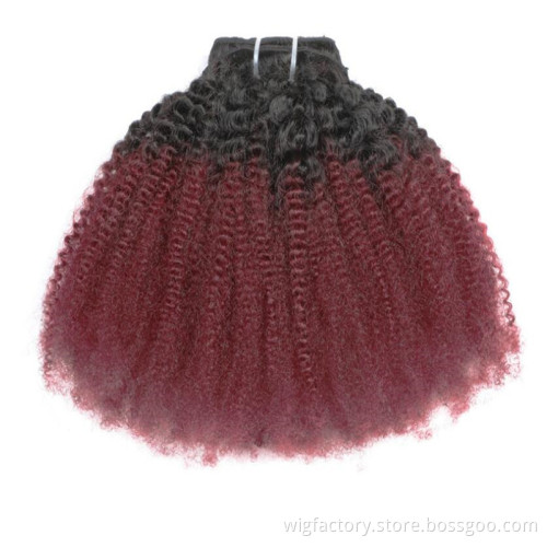 Wholesale unprocessed colored brazilian clip in hair extensions, 100% human hair clip in human hair colored